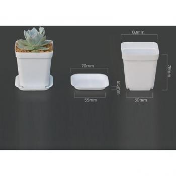 Maceta Cuadrada para Plantas y Flores