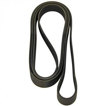 Dayco 7PK2682 Cinghia Poly V Ford Transit 2.4