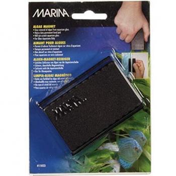 Marina Panno Pulente per Vetrate