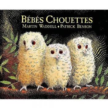Bébés chouettes