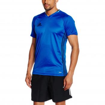Condivo 16 Trainingsshirt für Männer, Adidas – Blau-College Navy/Bright Cyan, Größe XL (AB3061)