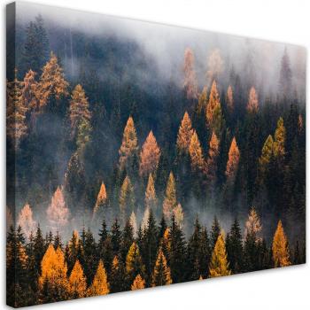 Toile Murale, Arbres en Automne