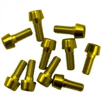 Msc Viti Anodizzate 10 Unità M5 x 25 mm