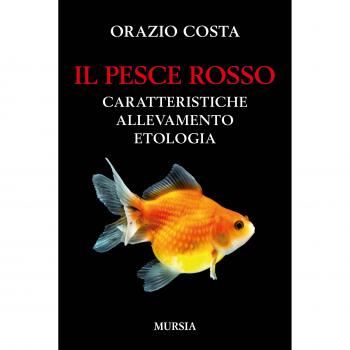 Il pesce rosso: Caratteristiche, allevamento, etologia
