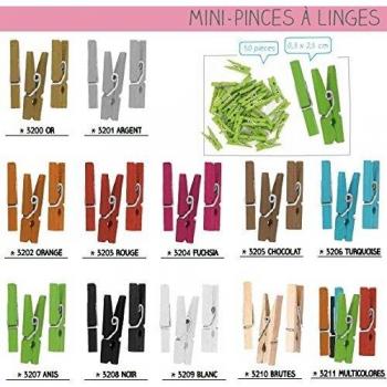 Pinze per asciugatura 2,5 cm (collezione da 50)