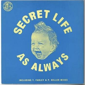 Secret Life As Always Collectible Vinyl RODEO9