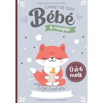Carnet de Suivi Bébé à remplir 0 à 6 mois: Cahier tout en un pour un suivi quotidien de bébé de son allaitement, de son sommeil et de sa santé | cadeau idéal future maman