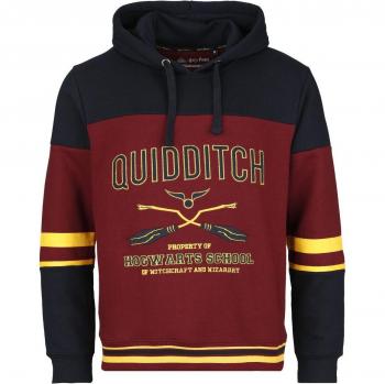 Gryffindor Hoodie Hombre Multicolor