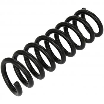 Suspensión Coil Spring 4256850 (Lesjofors)