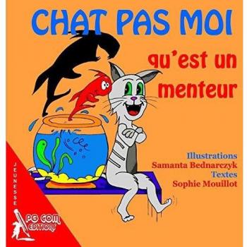 Chat pas moi qu'est un menteur