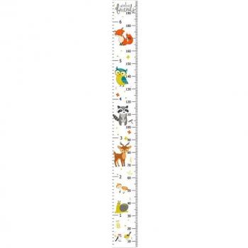 Tableau HeightTracker Kids