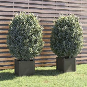 Vasos de Jardim VidaXL: Pino Mácio 40x40x40, Pacote de 2 (Cinza)
