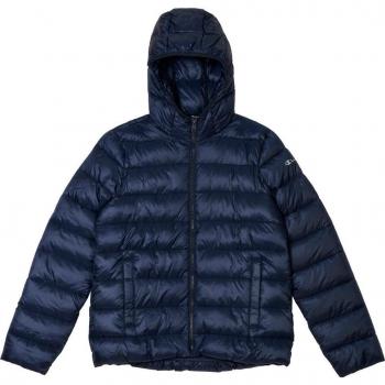 Champion Legacy Giacca Cappuccio Blu Scuro – S (Polyfilled)