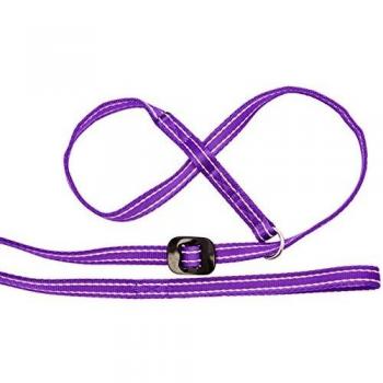 Dual‑Color Gencon Dog Collar + Lead (Purple/Pink)