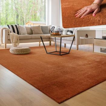 Douceur Chromée – Tapis de Salon Cuivre, Poils Courts, Antidérapant