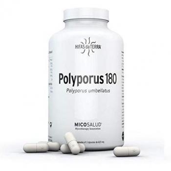 Hifas da Terra Polyporus 180