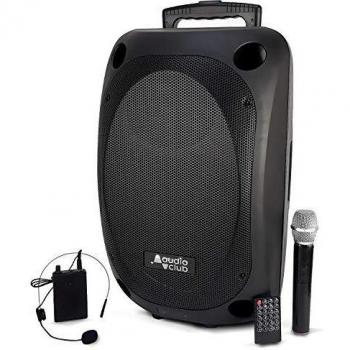 Enceinte portable professionnelle 350/700W avec connexion Bluetooth, radio FM et batterie rechargeable MOOV1
