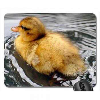 Mousepad anatra