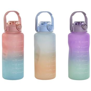 Blauwe en Roze Turkoois Waterfles Home ESPRIT 2L (3 stuks)