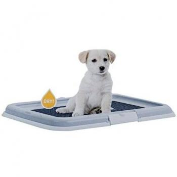 Lettiera per Cani con Tappetini Assorbenti
