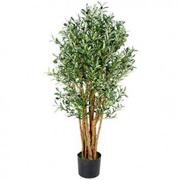 125cm Olive Tree