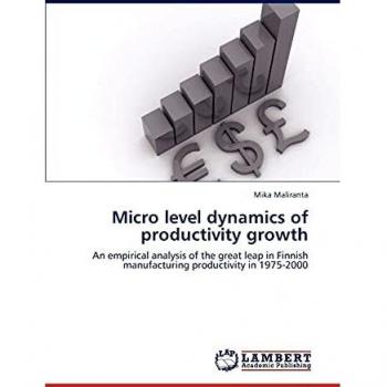 Micro level dynamics of productivity growth