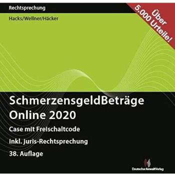 SchmerzensgeldBeträge 2020 Online