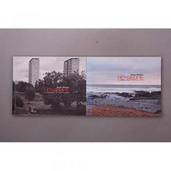 Hexagone : Tome 1, Le paysage fabriqué Le paysage périurbain et de loisir 1995-2001, édition bilingue français-anglais