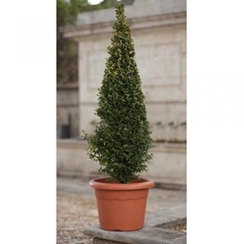 Jarre circulaire en plastique 46 cm, teinte terracotta