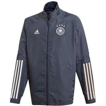 Adidas Kinder DFB PRE JKT Y, Onix, 9/10 Jahre