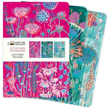 Lucy Innes Williams Set of 3 Midi Notebooks