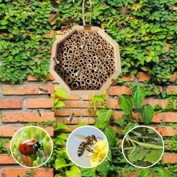 Nid pour abeilles en bois