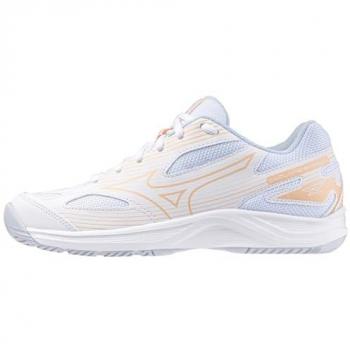 Sapatos de Treino Femininos Mizuno Cyclone Speed