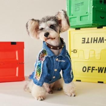 Abrigo Brillante para Schnauzer y Corgi