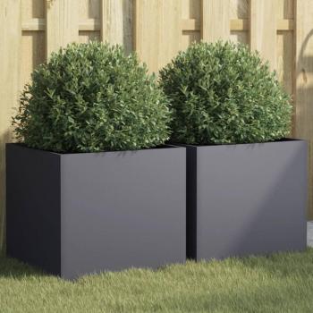 VidaXL Planters 2 pcs Anthracite 16.5x15.7x15.4 Steel