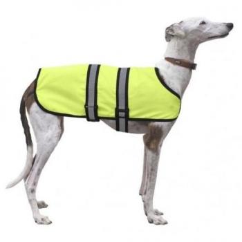 Capa de Lluvia X-Trek Neón para Perros