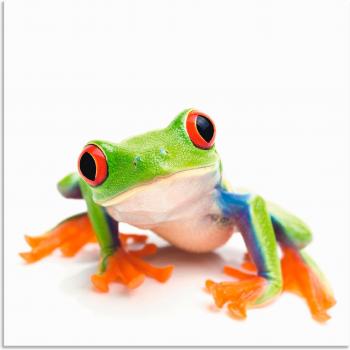 Artland Outdoorbild »Frosch in Großaufnahme«