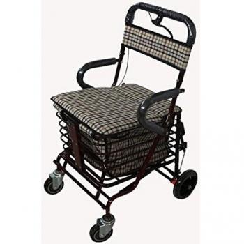 Carrusel Walker 4 Wheels