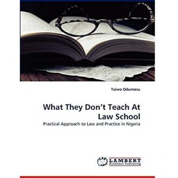 What They Don't Teach At Law School: Practical Approach to Law and Practice in Nigeria