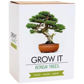 Gift Republic Grow It Yourself Grow Me Kit Bonsai Tree Brand New