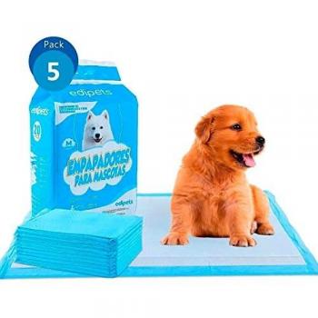 Empapadores absorbentes para perros, 45x60 cm, 100 uds