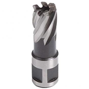 Evolution Power Tools CC21MS Broaching Cutter, 21 x 25 mm