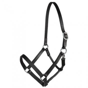 PFIFF Basicline Schwarz – Lederhalfter für Cob