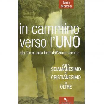 In cammino verso l'Uno. Dallo sciamanesimo al cristianesimo e oltre. Alla ricerca della fonte dell'immenso amore