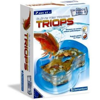Élever tes triops