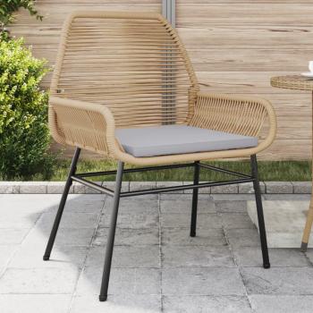 Coussins Rotin et Chaises de Jardin Duo VidaXL