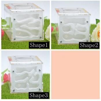 Ant Farm Nest Acrylic & Gypsum with Full Cover 10*13*9.5cm