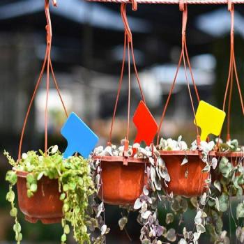 Garden Labels Plastic Pots for Seedlings 10cm x 5cm