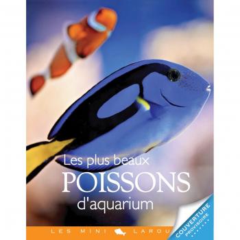 Les Plus Beaux Poissons D'aquarium