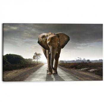 Wandbild Elefant König